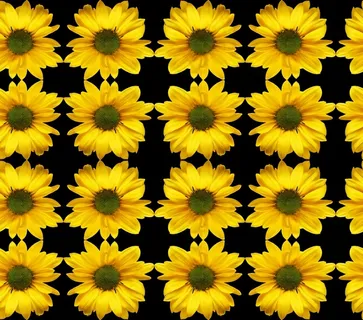 天文学，无缝，图案，计算机，对称