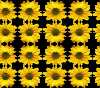 天文学，无缝，图案，计算机，对称