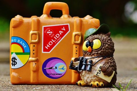 猫头鹰，游客，地图，双筒望远镜，相机，旅行，度假