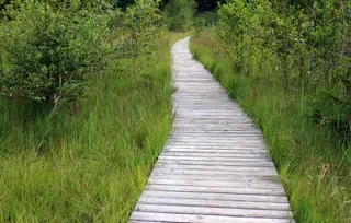 木轨，离，路径，径，木板，Web，性质