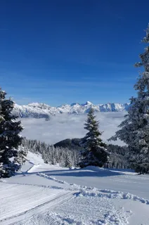 寒冬,里欧刚,冬梦,雪域,雪幻术,天空 寒冬,里欧刚,冬梦,雪域,雪幻术,天空