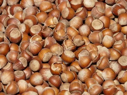 榛子，棕色，坚果，打开，贝壳，市场，关闭