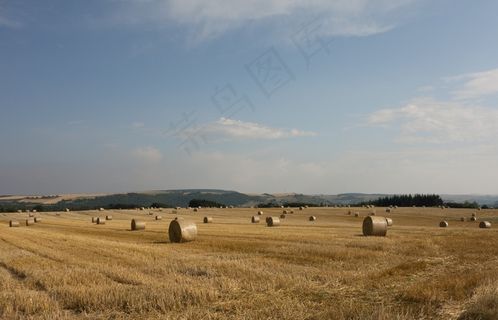 稻草捆，田野，草地，圆形捆，象限，干草