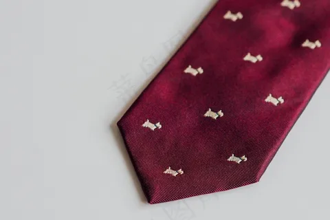 领带,钱包,包,手提包,眼镜袋,领带