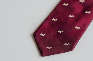 领带,钱包,包,手提包,眼镜袋,领带