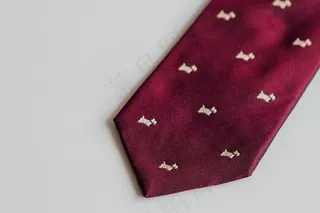 领带,钱包,包,手提包,眼镜袋,领带