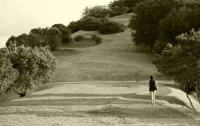 女人，步行，女孩，性质，下午，一棵树山