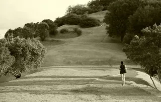 女人，步行，女孩，性质，下午，一棵树山