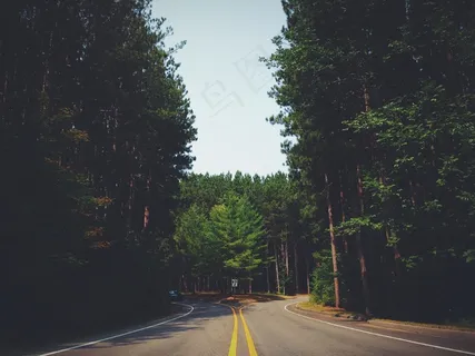 街,路,森林,旅行,方式,公路,户外 街,路,森林,旅行,方式,公路,户外