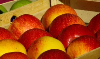 水果，苹果，果树，秋天