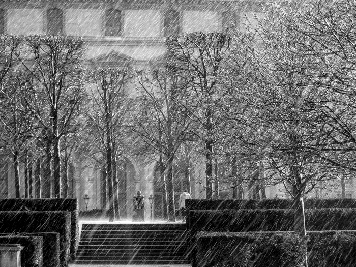 下雪，天气，冬季，公园，树木，冷