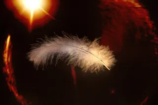 春天，微微，Schwerlos，浮法，光，空间