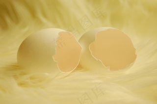 鸡蛋，蛋壳，开放，鸡蛋，破碎，贝壳