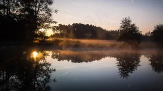 水，森林，草地，田园，景观，自然