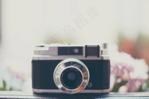 复古相机,单电/微单相机,单反相机,数码相机,摄像头,相机与花在背景中的替代镜头 复古相机,单电/微单相机,单反相机,数码相机,摄像头,相机与花在背景中的替代镜头