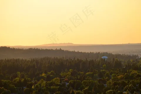 大自然，风景，森林，丘陵，地平线，阴霾，雾