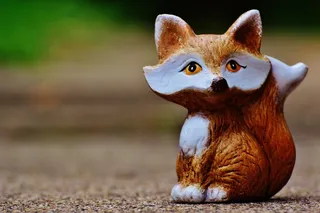 福克斯，野生动物，无花果，动物，动物世界，红狐狸