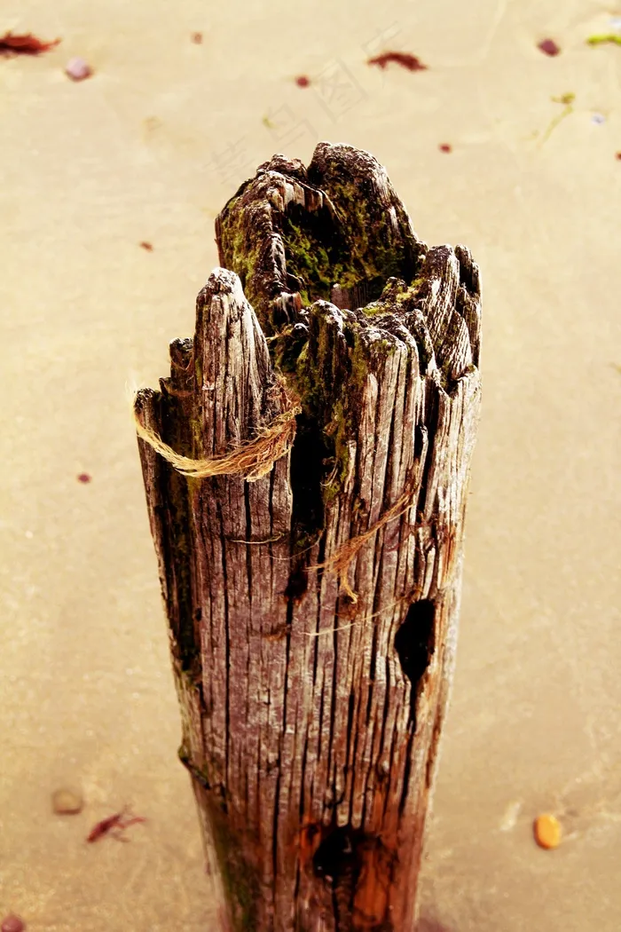 桩，日志，钉，海滩，海岸，水，沙