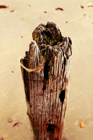 桩，日志，钉，海滩，海岸，水，沙