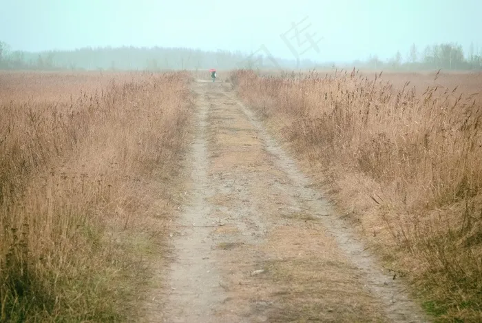 村道,草原,树,沙漠,自然风景,人在田里走远观