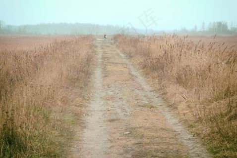 村道,草原,树,沙漠,自然风景,人在田里走远观