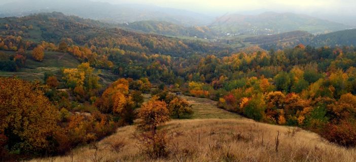 秋，丘陵，秋天，景观，自然，户外，秋天