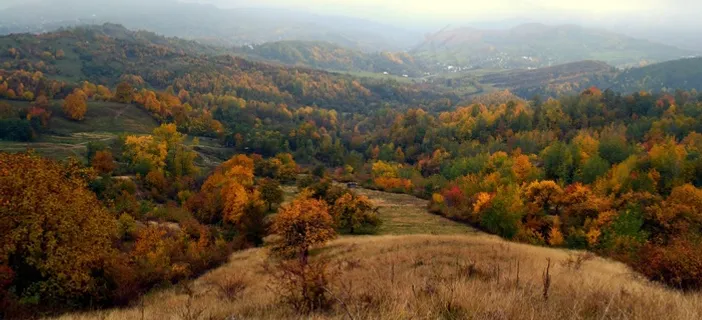 秋,丘陵,秋天,景观,自然,户外,秋天 秋,丘陵,秋天,景观,自然,户外,秋天