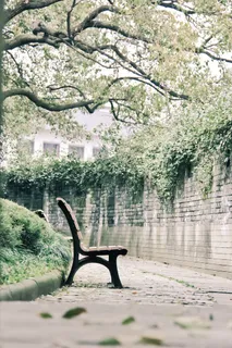 树,城墙,椅子,绿色,春天 树,城墙,椅子,绿色,春天