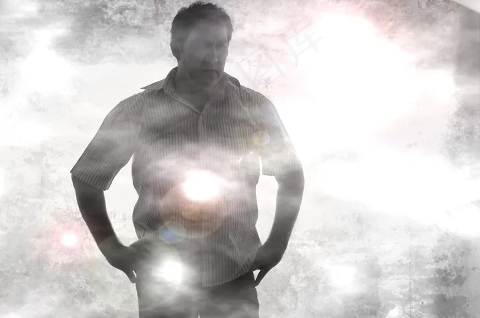 森林，雾，在清晨