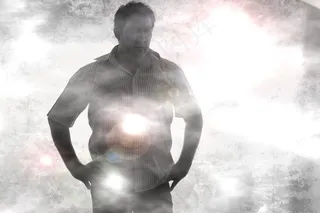 森林，雾，在清晨