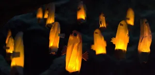 鬼，Hattifattener，Moomin，鬼，夜，光