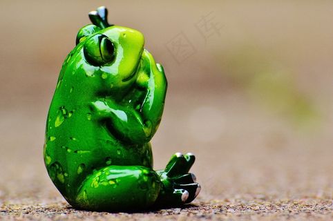 青蛙，搞笑，可爱，无花果，甜