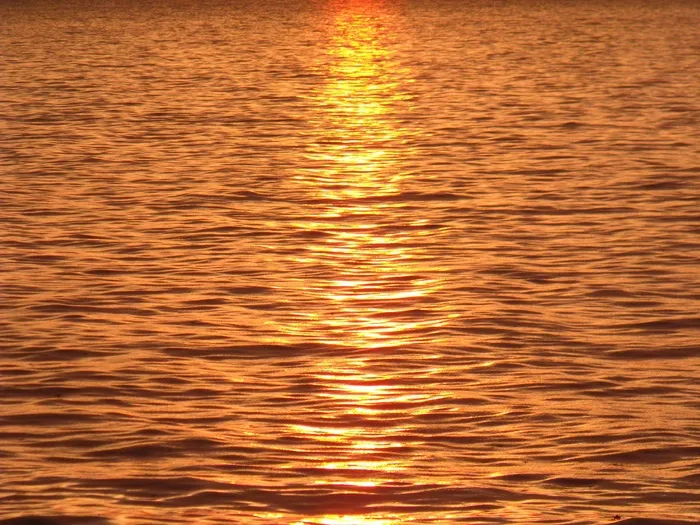 巴拉顿湖，水，阿兰尼德