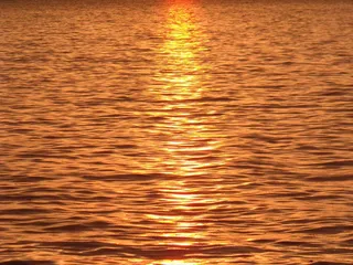 巴拉顿湖，水，阿兰尼德