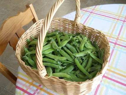 豌豆,绿色,篮,食品,健康,素食主义者,豆类 豌豆,绿色,篮,食品,健康,素食主义者,豆类