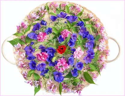 花，颜色，植物，春天，花的，黄色，盛开