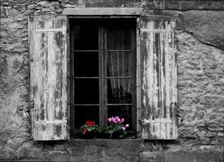 窗户，花，花箱