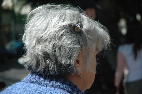 苏格兰猎鹿犬,爱尔兰猎狼犬,头发,鸟类,男孩,大街的女高管