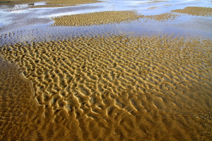 沙，假期，海岸，海滩，自然，大海，户外