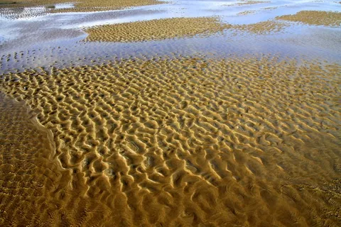 沙，假期，海岸，海滩，自然，大海，户外