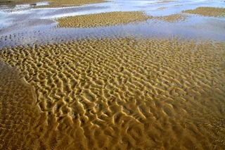 沙，假期，海岸，海滩，自然，大海，户外