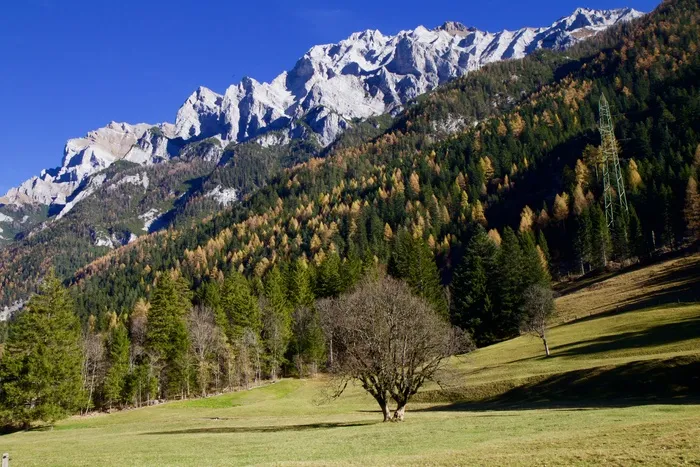 山，高山，森林，草地，秋季