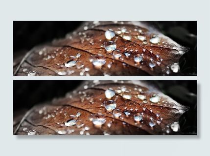 性质，露水，露滴，露珠，滴，宏，叶子