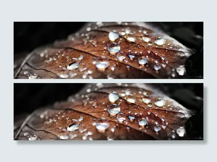 性质，露水，露滴，露珠，滴，宏，叶子