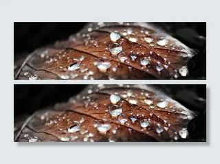 性质，露水，露滴，露珠，滴，宏，叶子