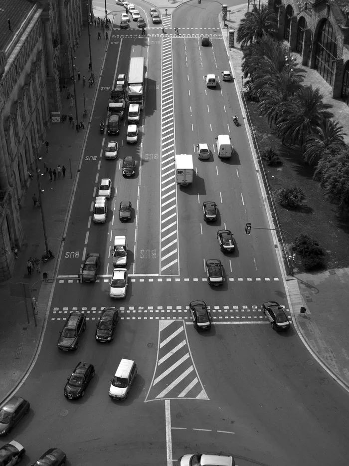 left&right,轿车,城市街道,车流,线路板,黑色和白色汽车交通棕榈