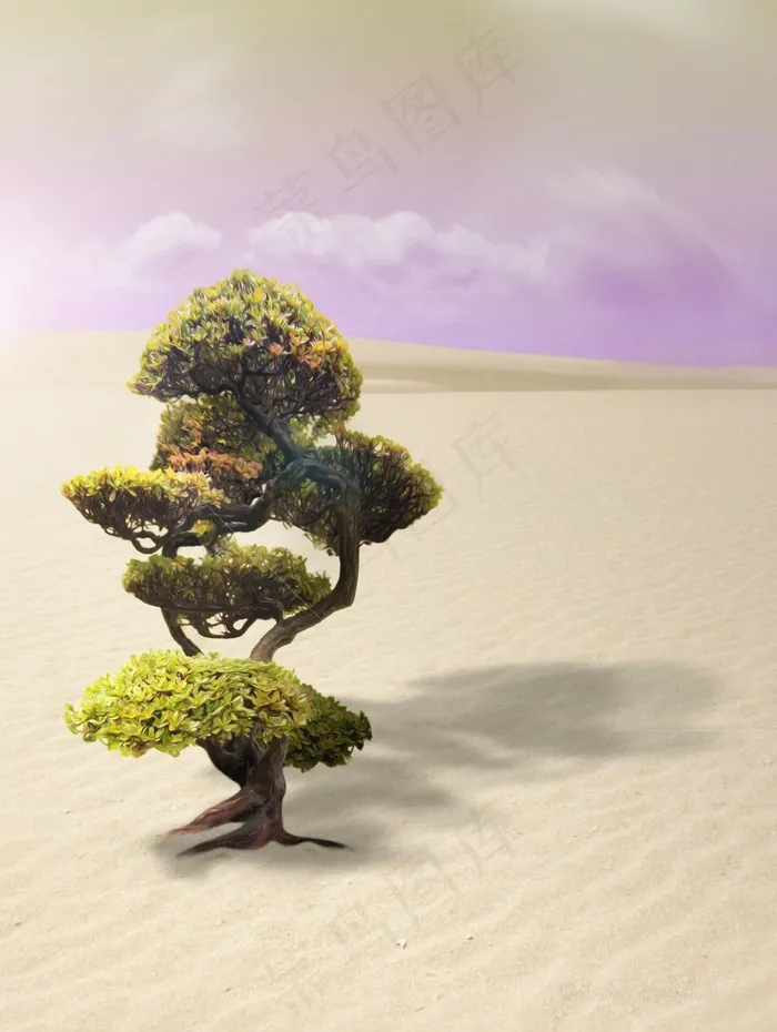 盆景，树，沙漠，沙，干，性质，干旱，沙丘