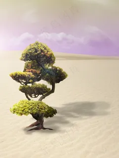 盆景,树,沙漠,沙,干,性质,干旱,沙丘 盆景,树,沙漠,沙,干,性质,干旱,沙丘