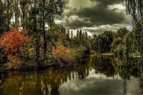 湖，池塘，水域，人类发展报告，生物群落，Niederzier
