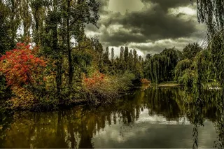 湖，池塘，水域，人类发展报告，生物群落，Niederzier